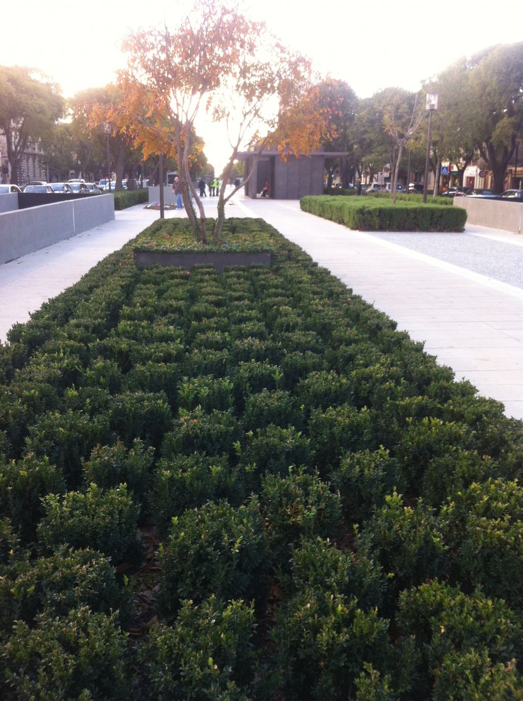 SERPE - Création d'espaces verts.JPG